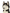 Cat Rotation Bundle (Gently Cooked) - Animal Image Bottom
