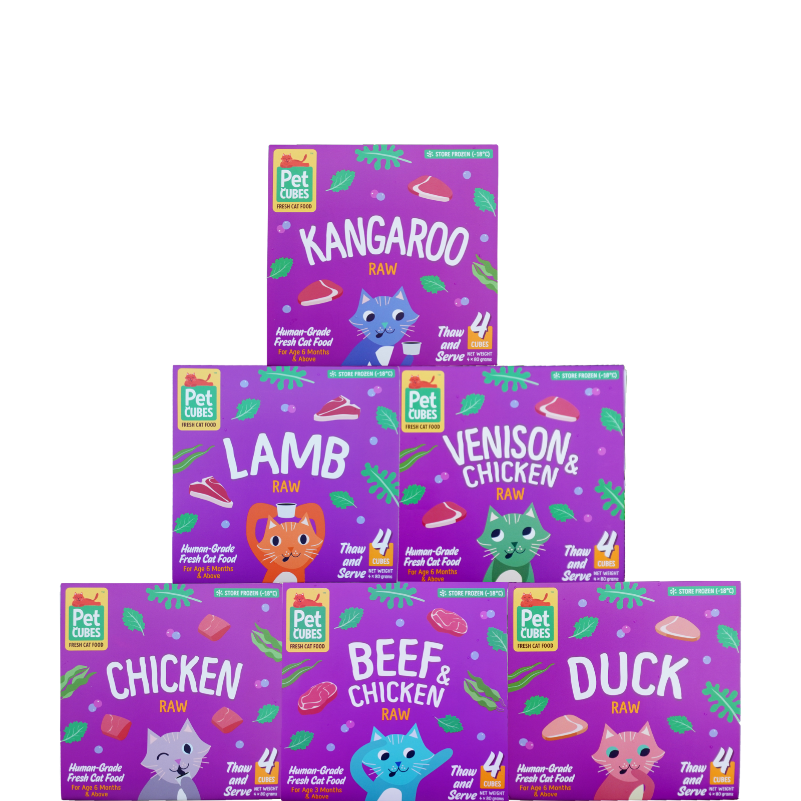 premium-raw-food-for-cats-petcubes