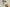 Can Kittens Consume Cat Food?