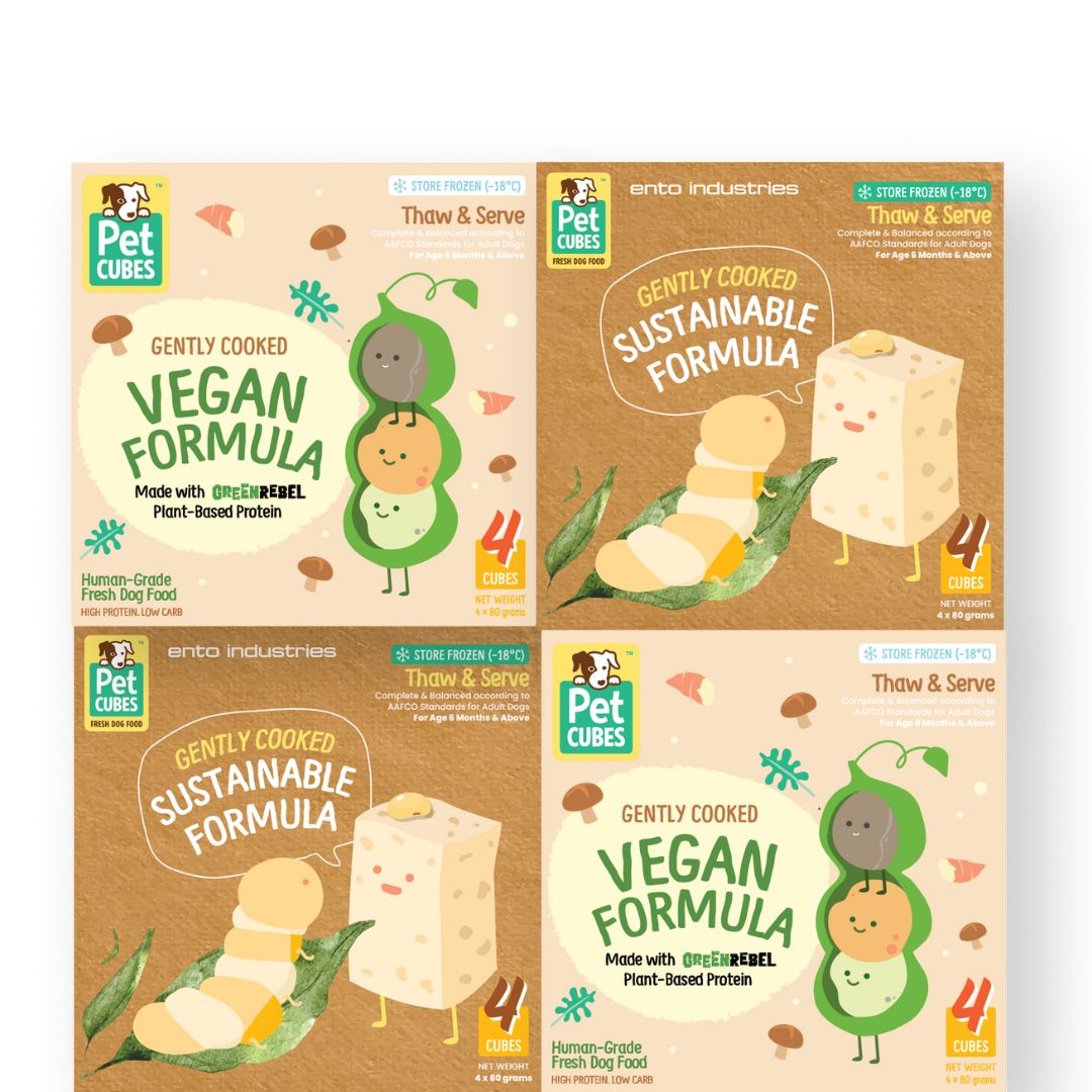 Alternative Protein – PetCubes