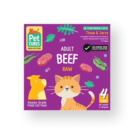 Raw Beef for Adult Cats (Trial)