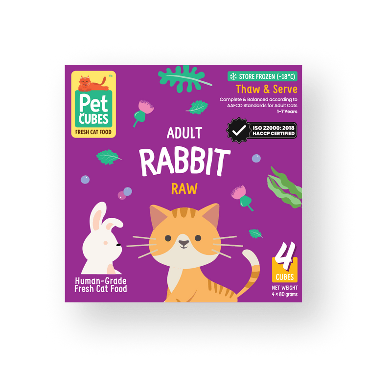 Raw Rabbit - Single Cube for Cats