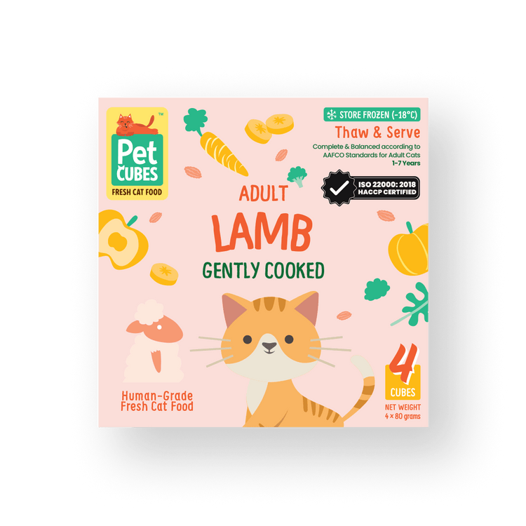 Gently Cooked Lamb for Cats (Case)