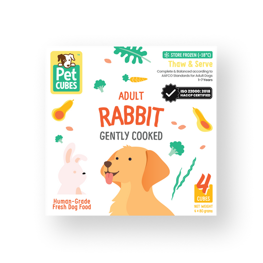 Rabbit (Case)