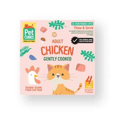 Chicken - Gently Cooked For Adult Cat