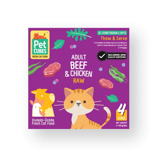 Cats
