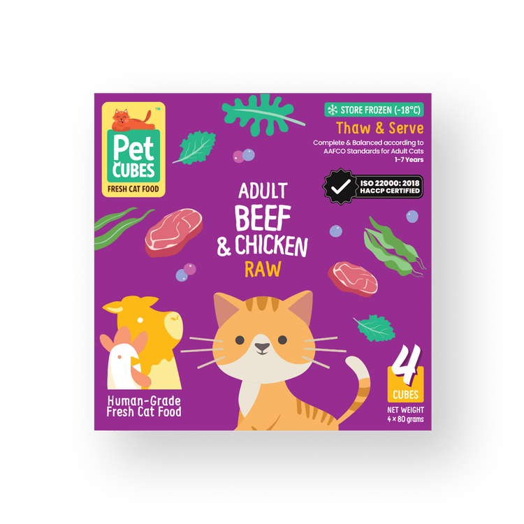 Beef & Chicken - Raw For Adult Cat