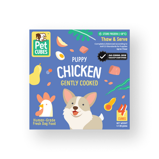 Gently Cooked Chicken- Single Cube for Puppies