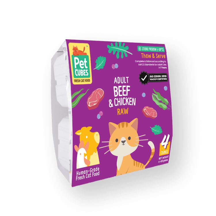Beef & Chicken - Raw For Adult Cat