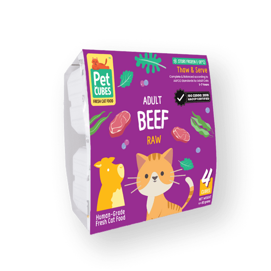 Raw Beef for Adult Cats (Trial)