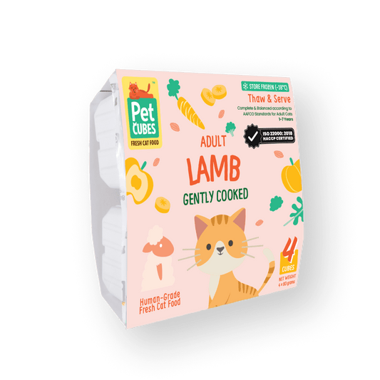 Gently Cooked Lamb for Cats (Single)
