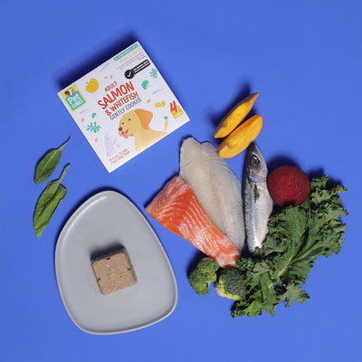 Salmon & Whitefish - Gently Cooked For Adult Dog