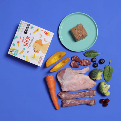 Duck - Gently Cooked For Adult Dog