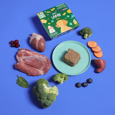 Lamb - Raw For Adult Dog