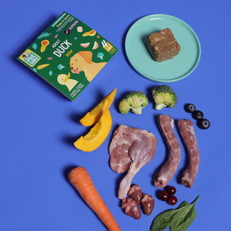 Duck - Raw For Adult Dog