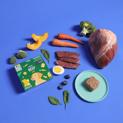 Beef - Raw For Adult Dog