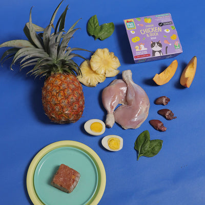 Chicken & Duck - Raw For Senior Cat