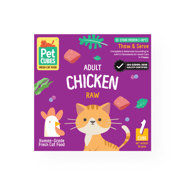 Chicken - Raw For Adult Cat