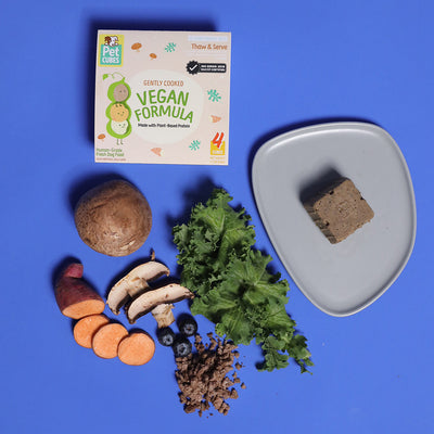 Vegan Formula - Gently Cooked For Adult Dog