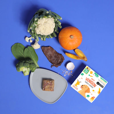 Venison - Gently Cooked For Adult Dog