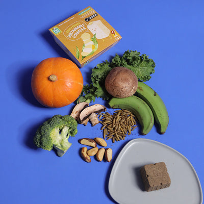 Sustainable Formula - Gently Cooked For Adult Dog