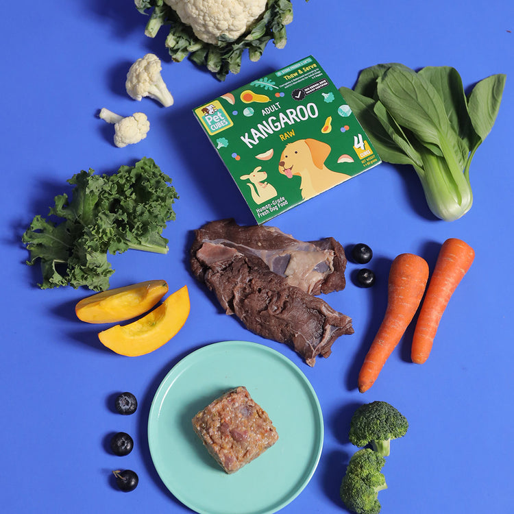 Kangaroo - Raw For Adult Dog