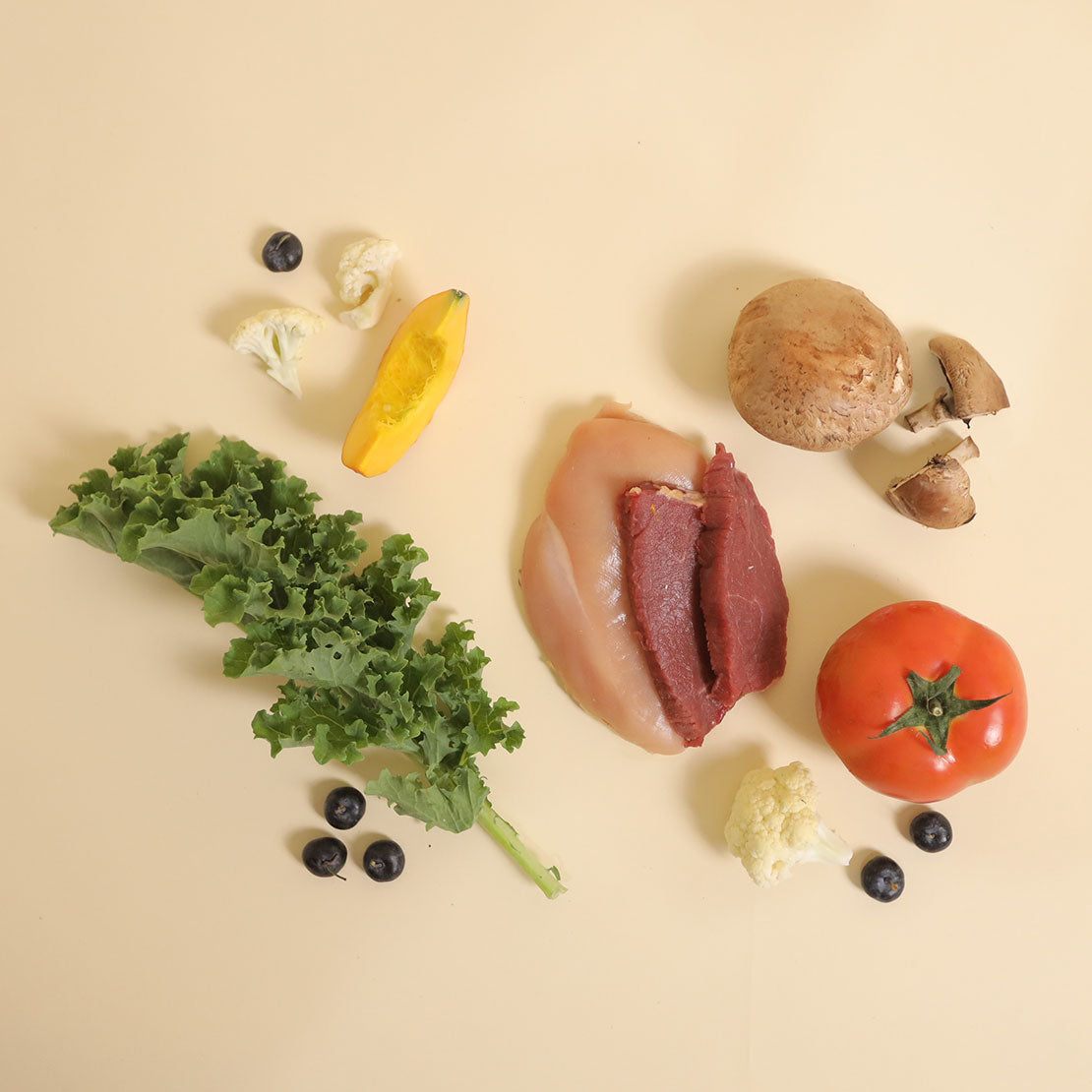 Canine Ketogenic Diet