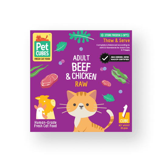 Raw Beef & Chicken- Single Cube for Cats