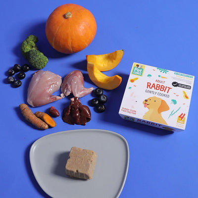 Rabbit - Gently Cooked For Adult Dog