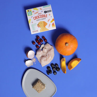 Crocodile - Gently Cooked For Adult Dog