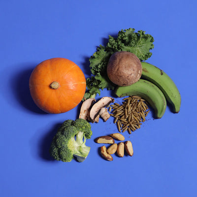 Sustainable Formula - Gently Cooked For Adult Dog