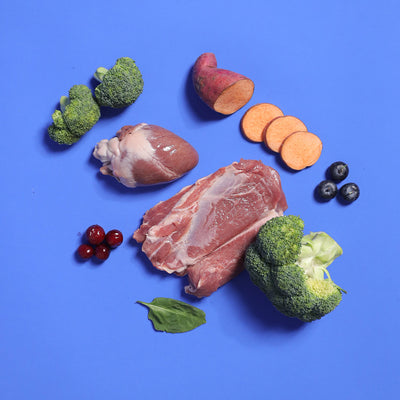 Lamb - Raw For Adult Dog