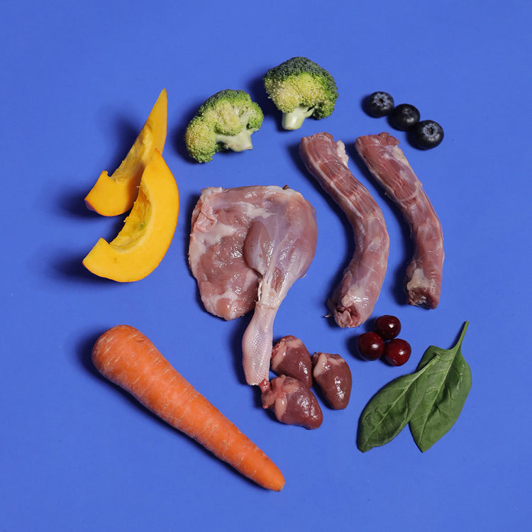 Duck - Raw For Adult Dog