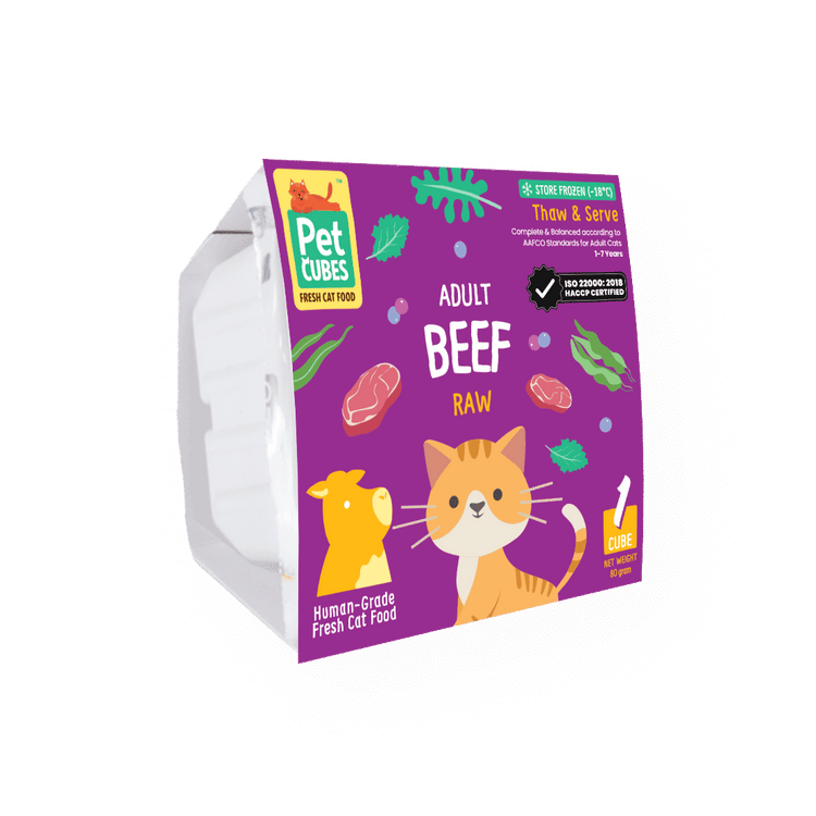 Raw Beef  - Single Cube for Cats