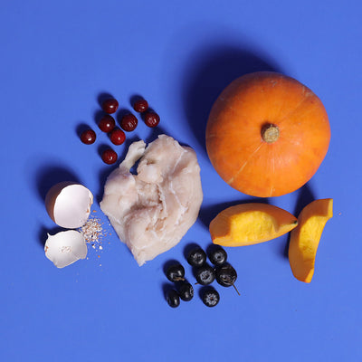 Crocodile - Gently Cooked For Adult Dog