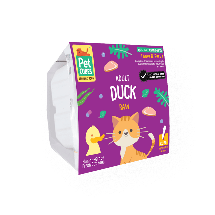 Duck - Raw For Adult Cat