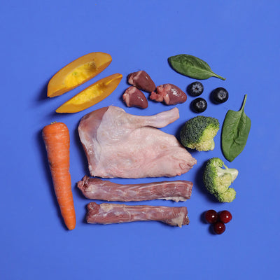 Duck - Gently Cooked For Adult Dog