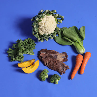 Kangaroo - Gently Cooked For Adult Dog