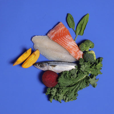 Salmon & Whitefish - Gently Cooked For Adult Dog