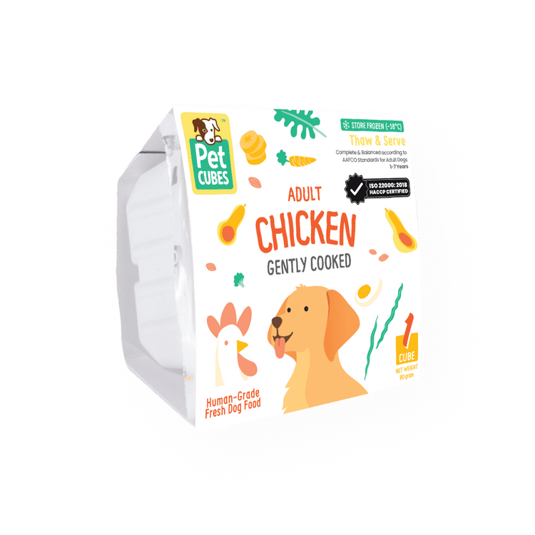Chicken - Gently Cooked For Adult Dog