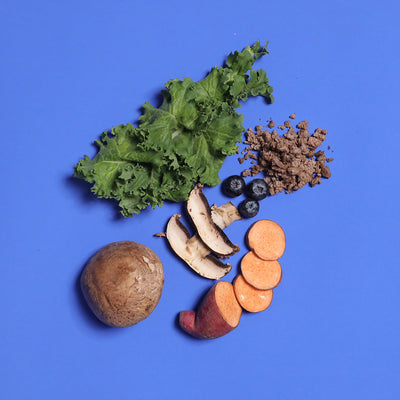 Vegan Formula - Gently Cooked For Adult Dog