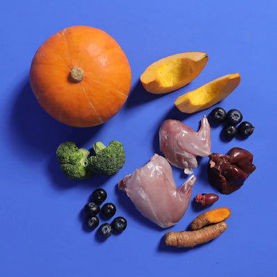 Rabbit - Gently Cooked For Adult Dog