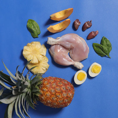 Chicken & Duck - Raw For Senior Cat