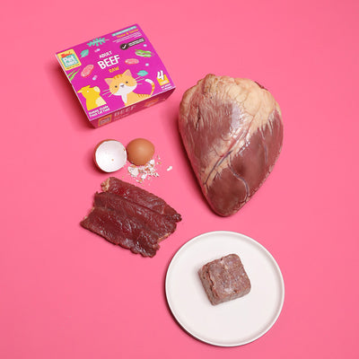 Raw Beef for Adult Cats (Single)