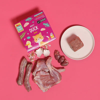 Duck - Raw For Adult Cat