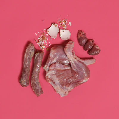 Duck - Raw For Adult Cat