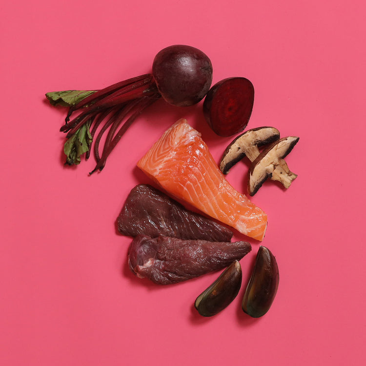 Kangaroo & Fish - Gently Cooked For Adult Cat