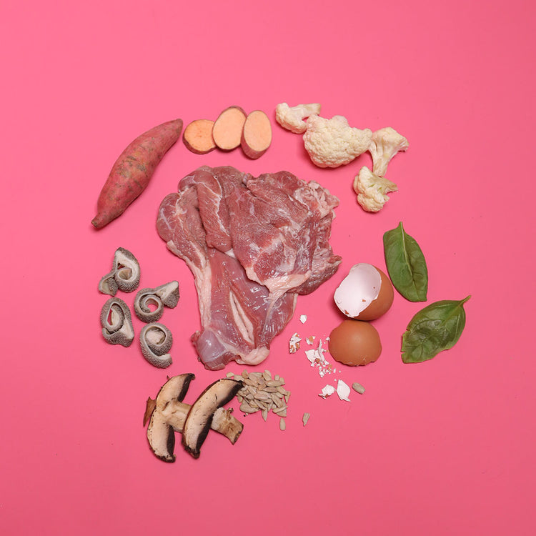Gently Cooked Lamb for Cats (Single)