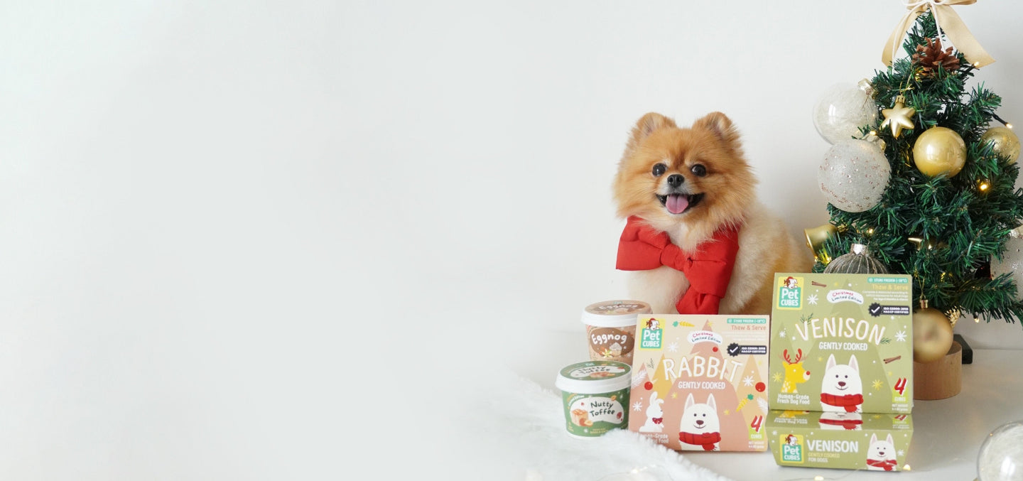 HOLIDAY FEAST FOR YOUR PETS!