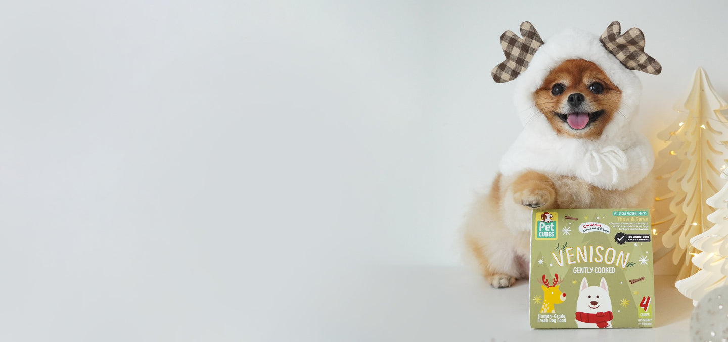 HOLIDAY FEAST FOR YOUR PETS!